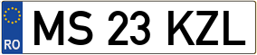 Truck License Plate